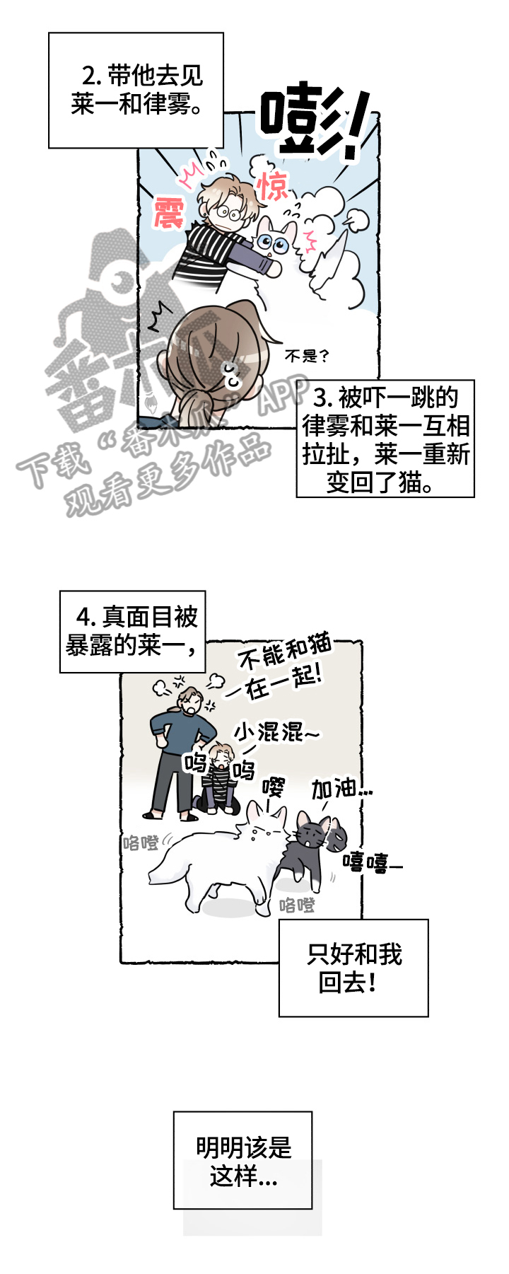 第55章：新邻居3