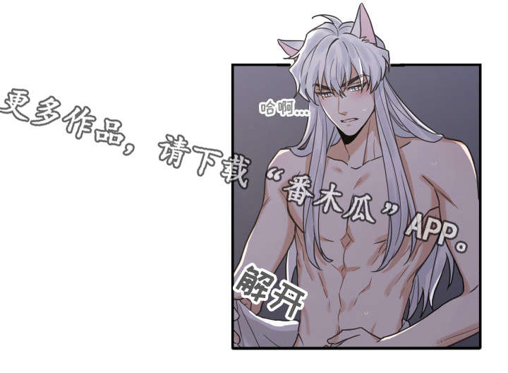 第20章：感觉好吗12