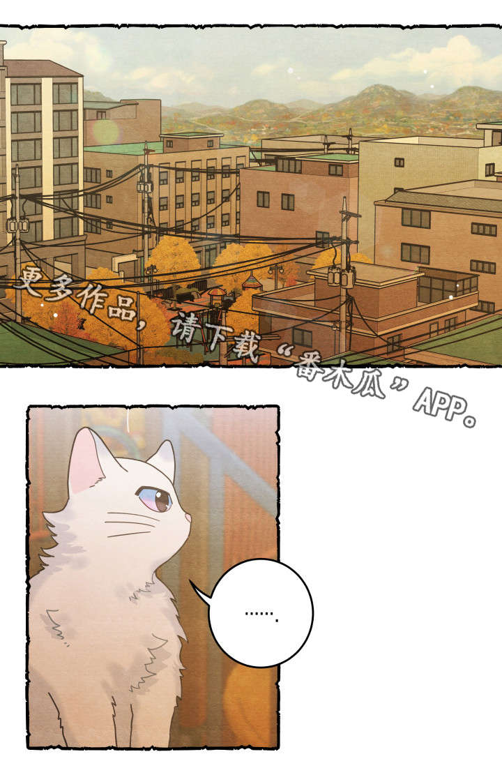 第38章：打扰10