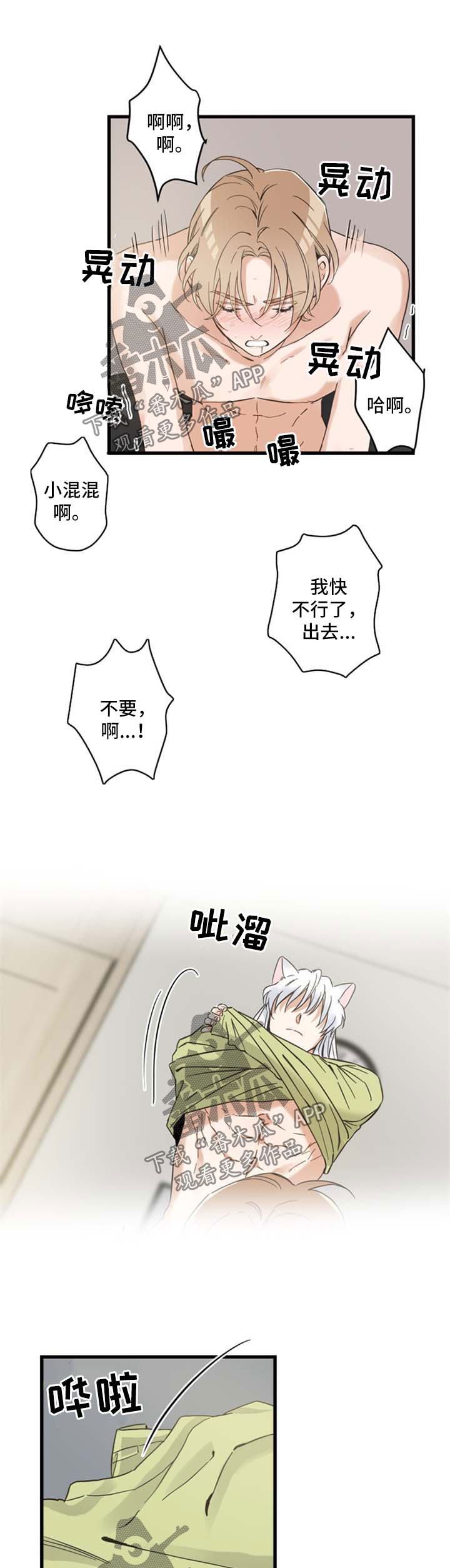第78章：做你想做的5