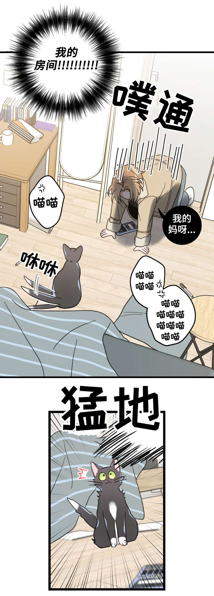 第42章：臭猫2