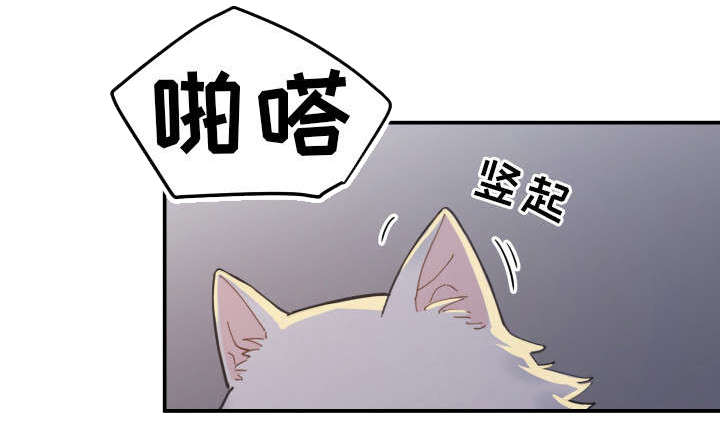 第2章：白猫13