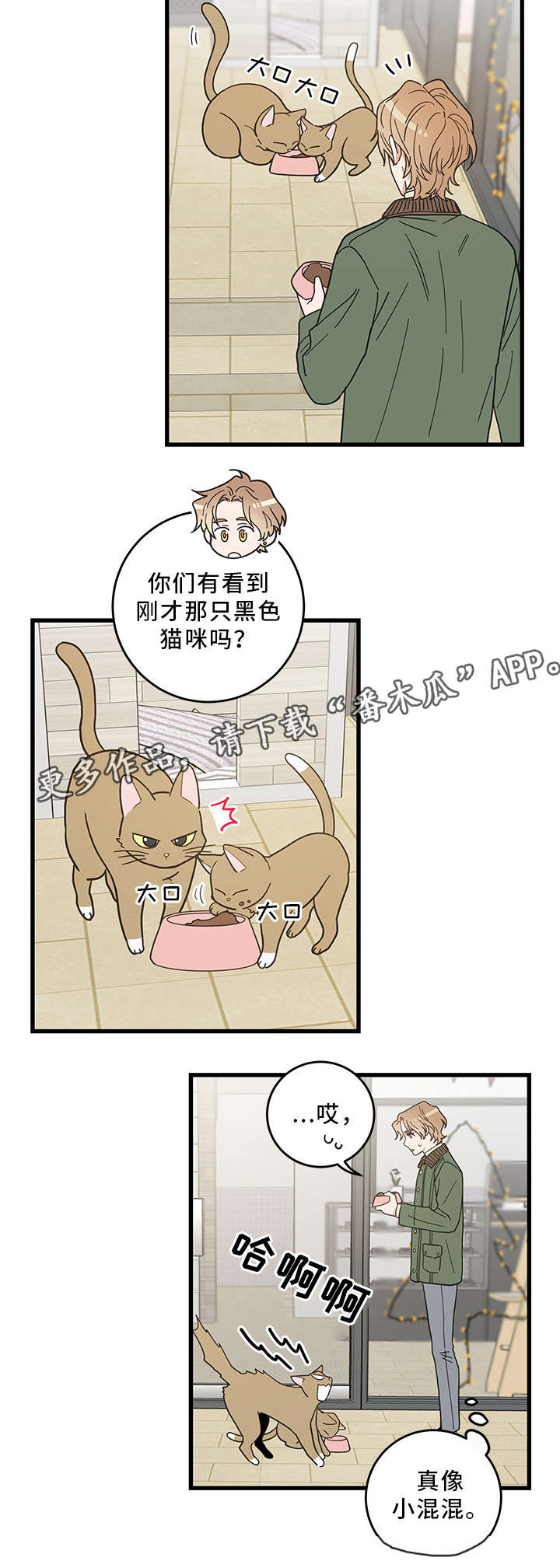 第31章：黑猫14