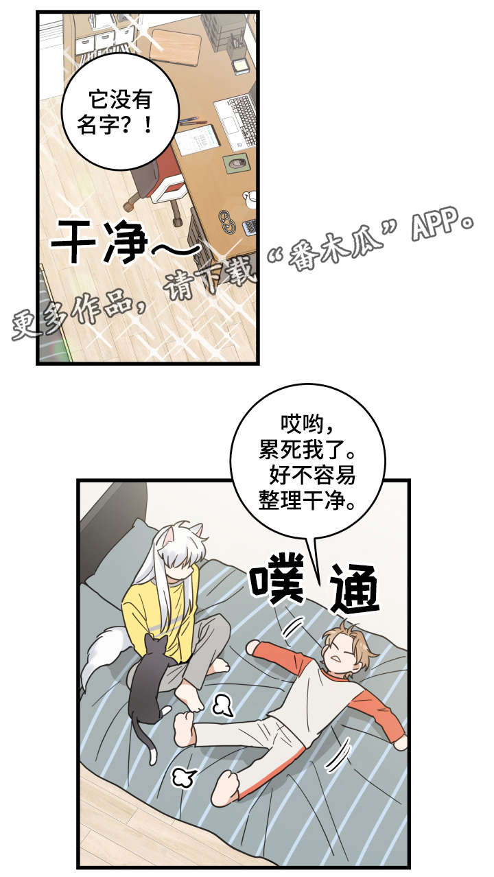第42章：臭猫5