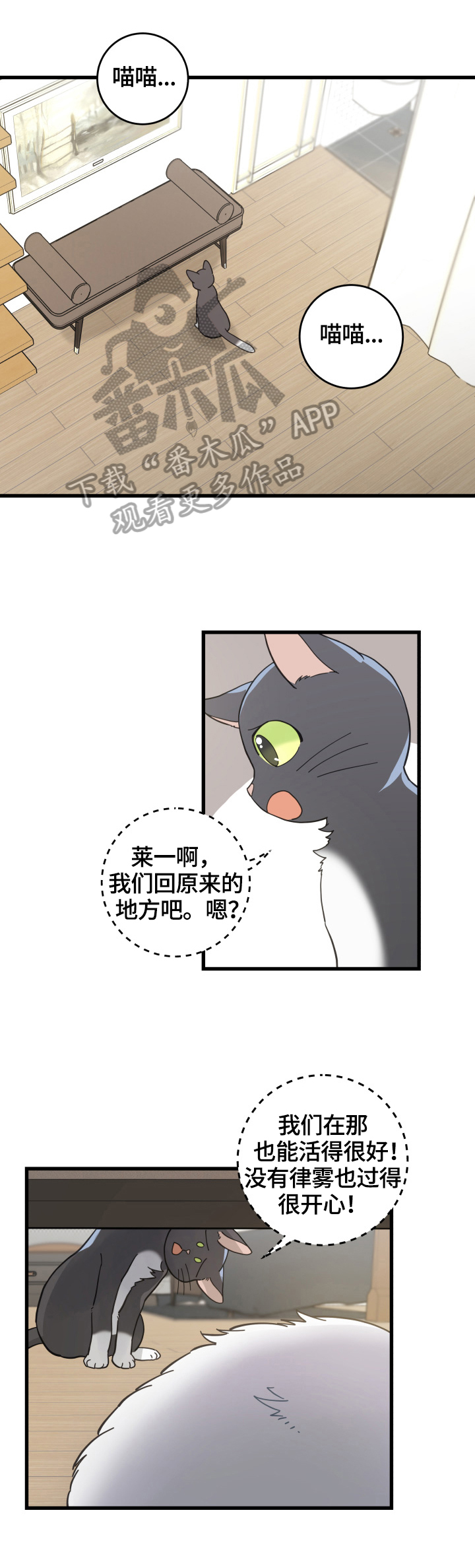 第60章：悲剧5