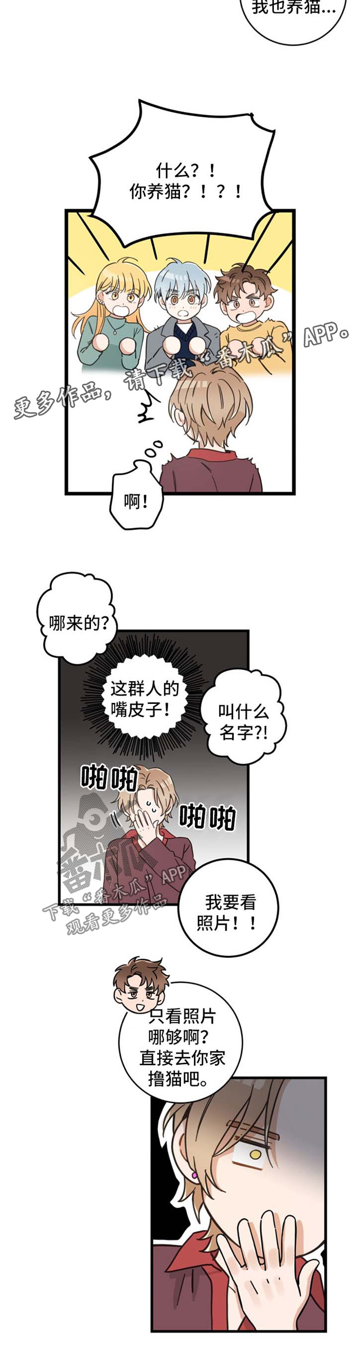 第80章：宠物心得10