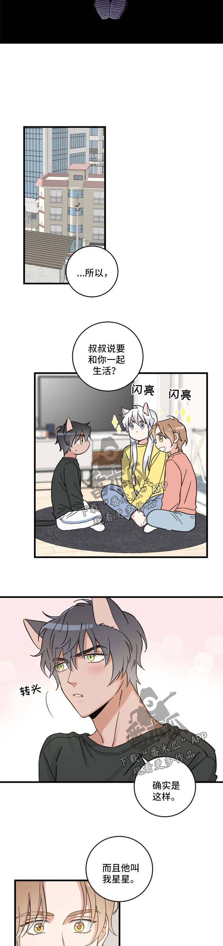 第86章：不同的喜欢1