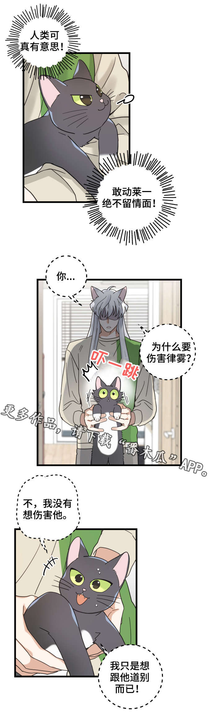 第40章：决心12