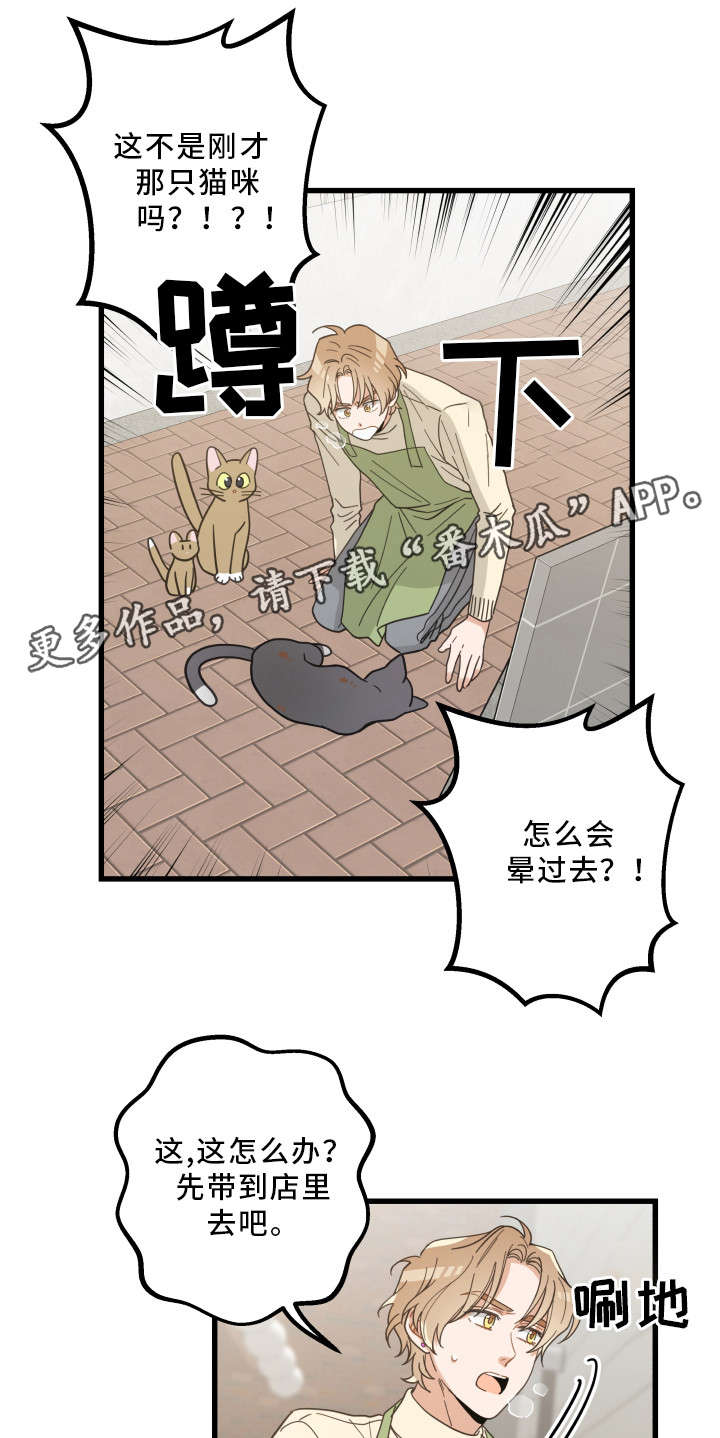 第32章：晕倒11