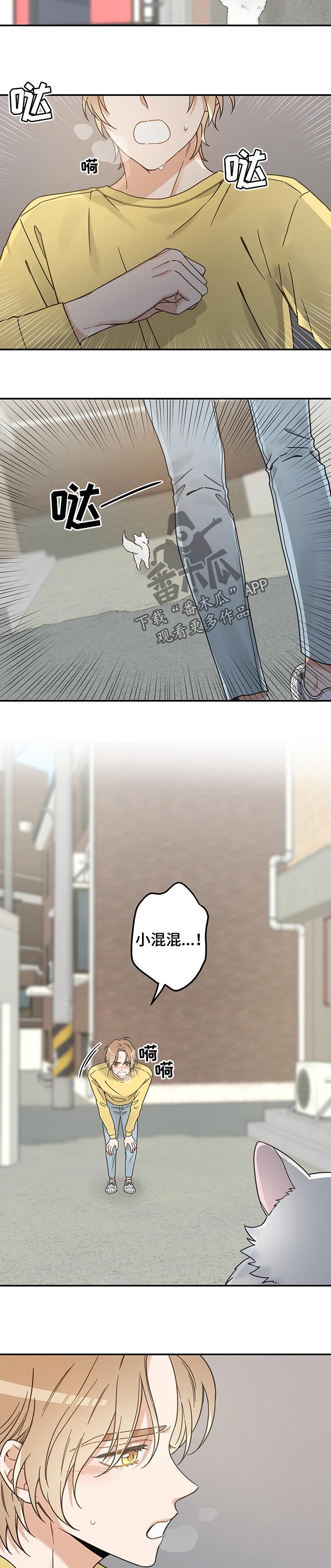 第106章：寻找8