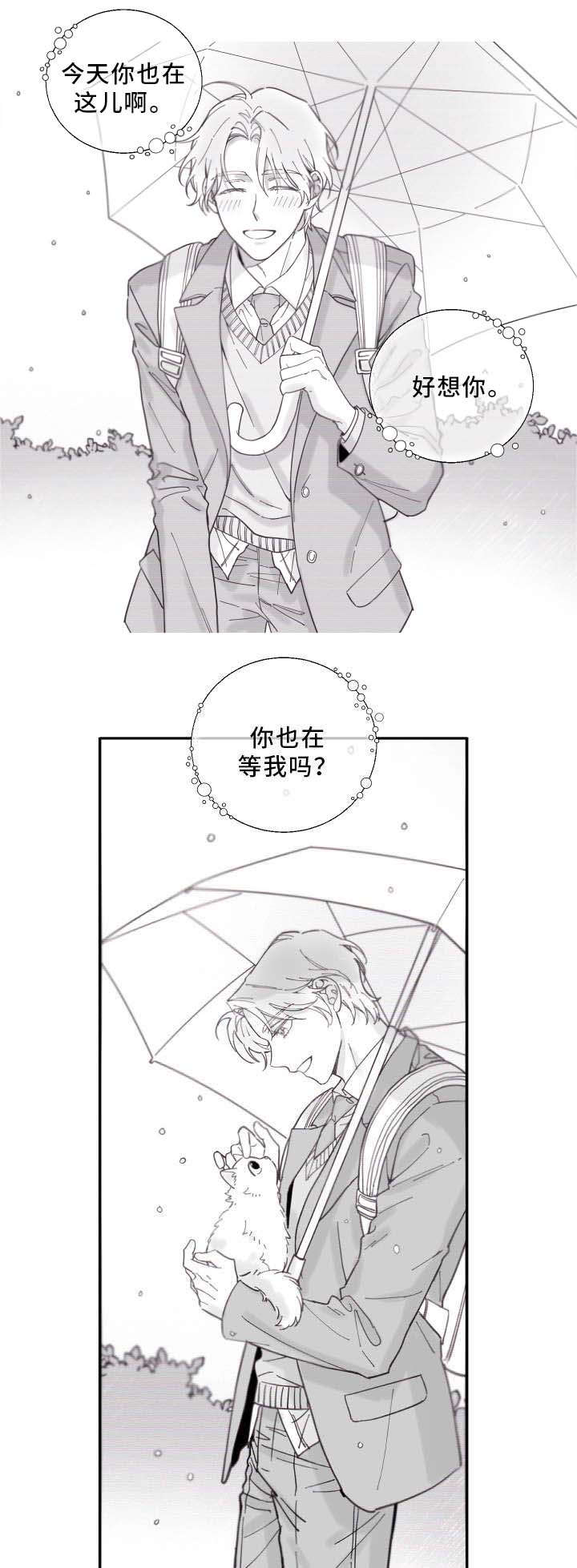 第2章：白猫11