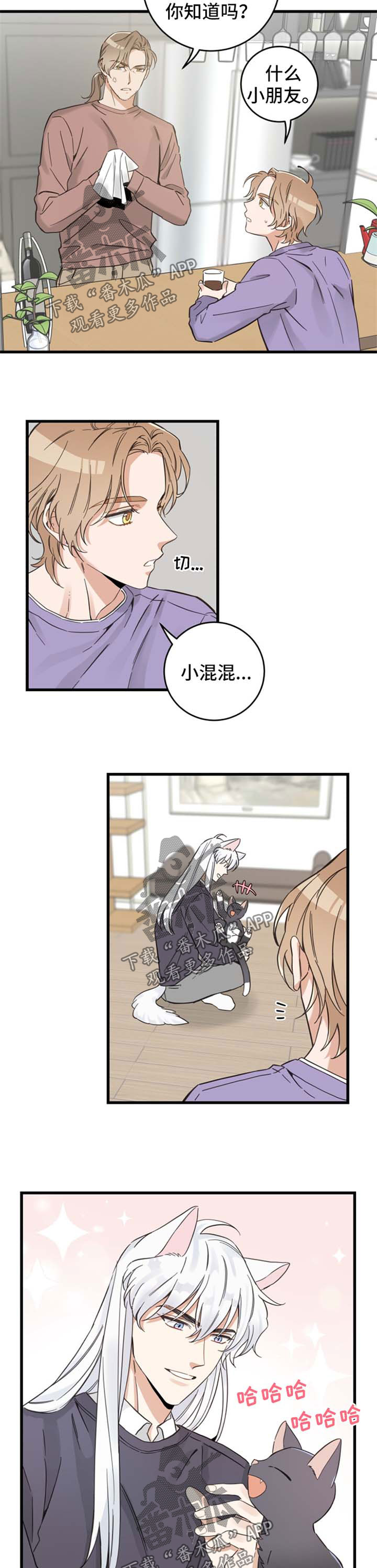 第80章：宠物心得2