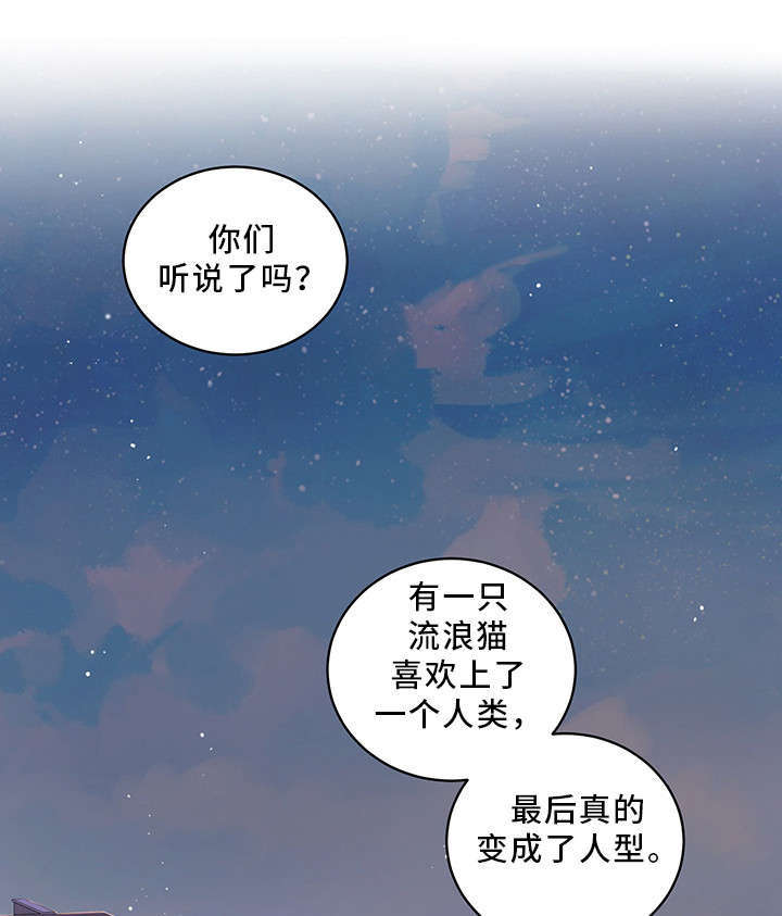 第1章：传说0