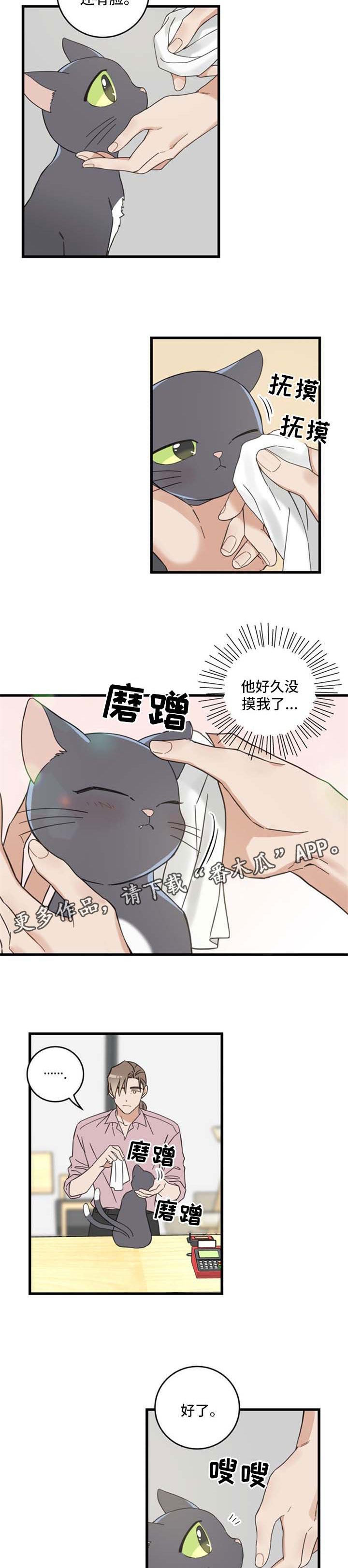 第95章：不行1