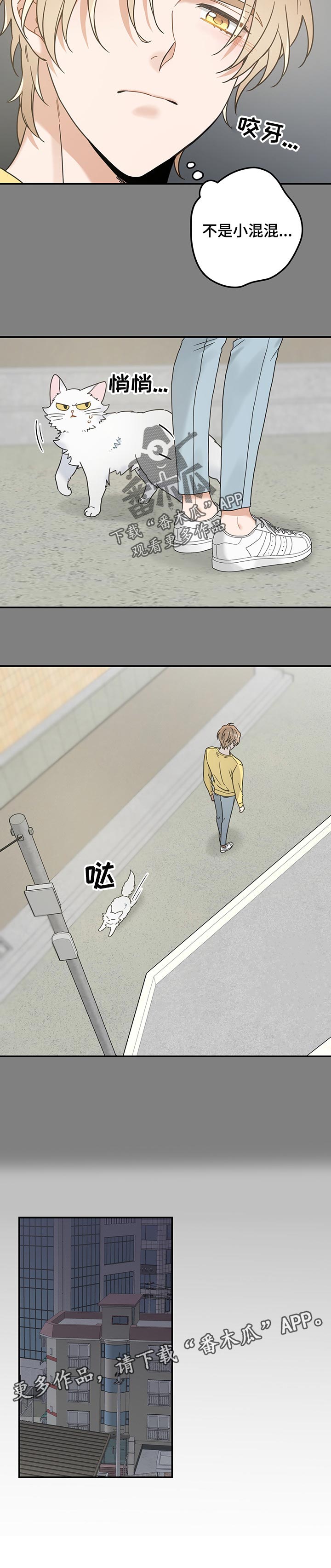 第106章：寻找10