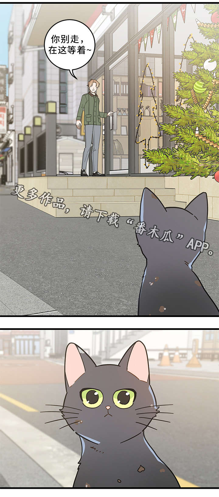 第31章：黑猫11