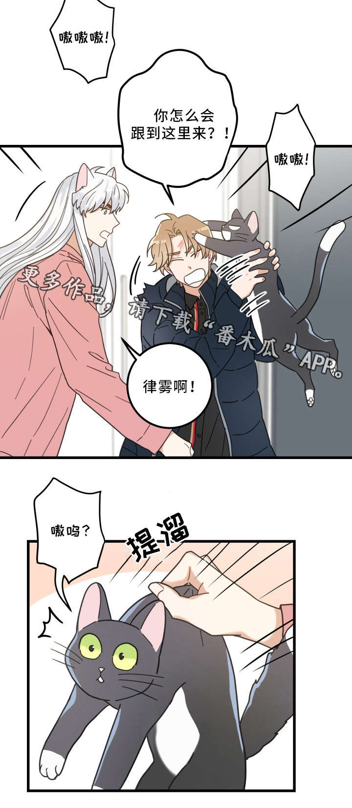 第36章：跟踪10