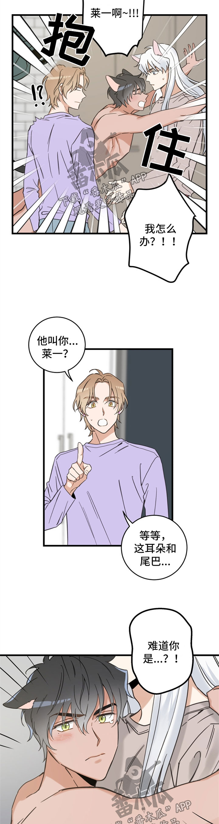 第85章：打扰好事6