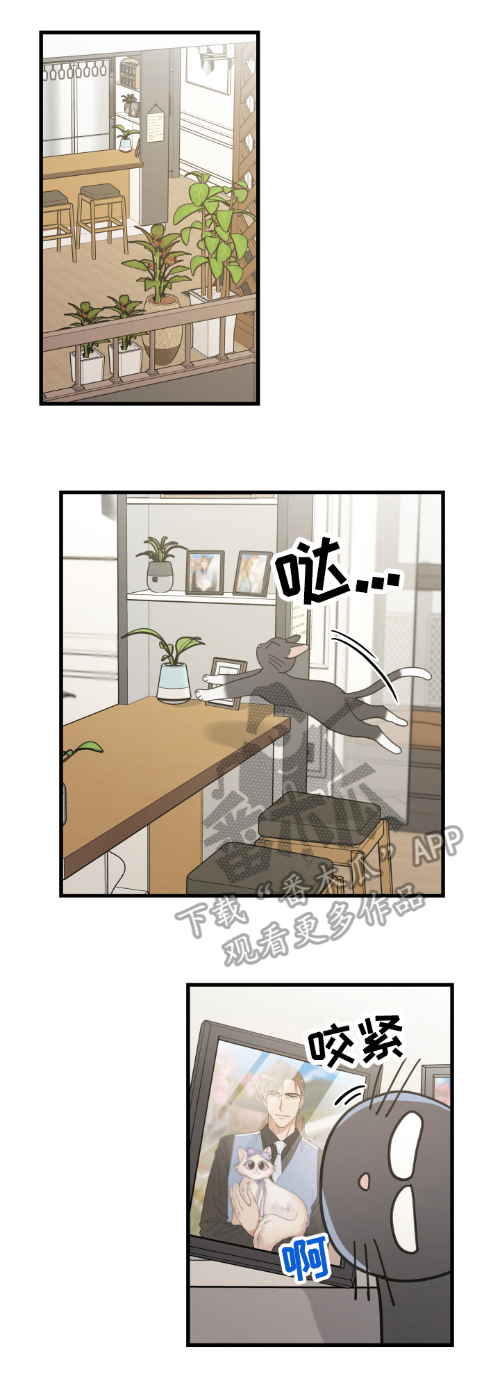 第57章：引出5