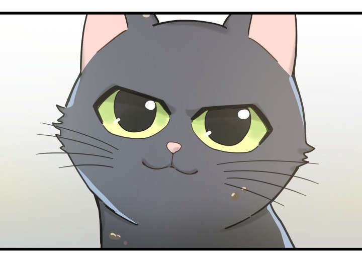 第31章：黑猫17