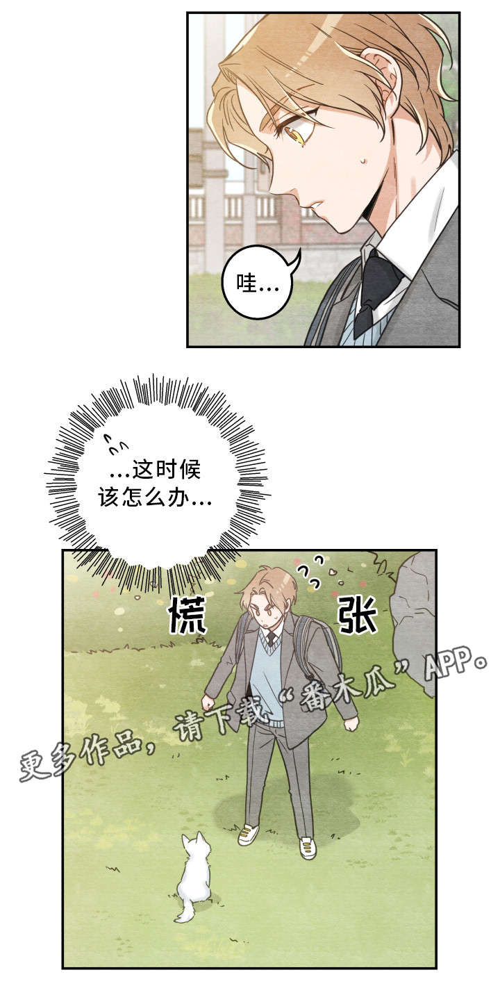第16章：白猫莱一11