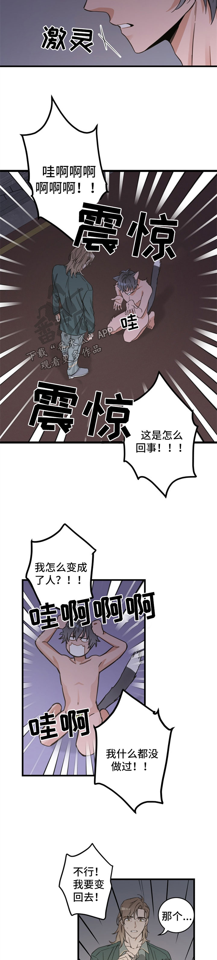 第84章：变人3