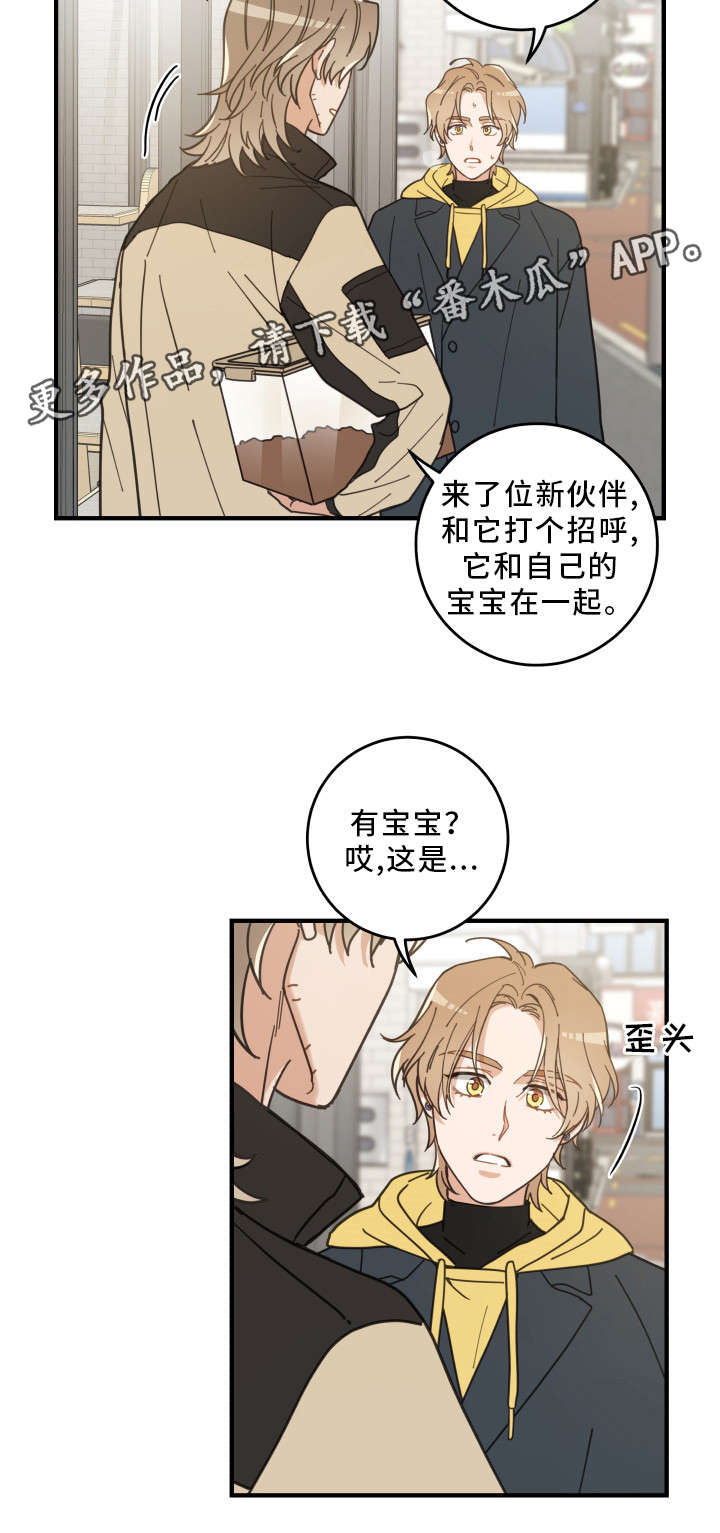 第23章：再遇6