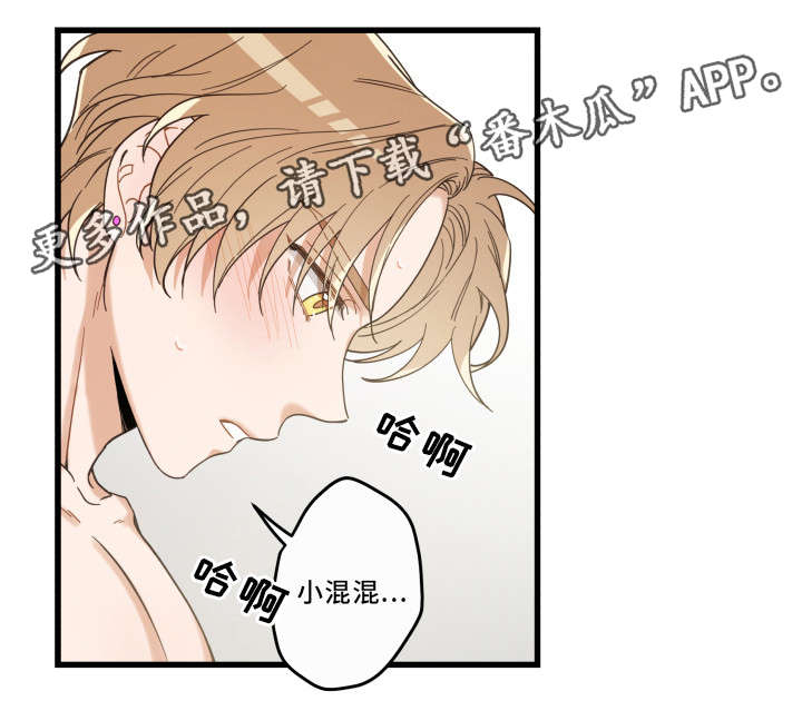 第34章：味道13