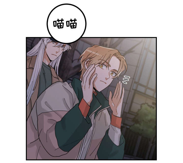 第14章：散步17