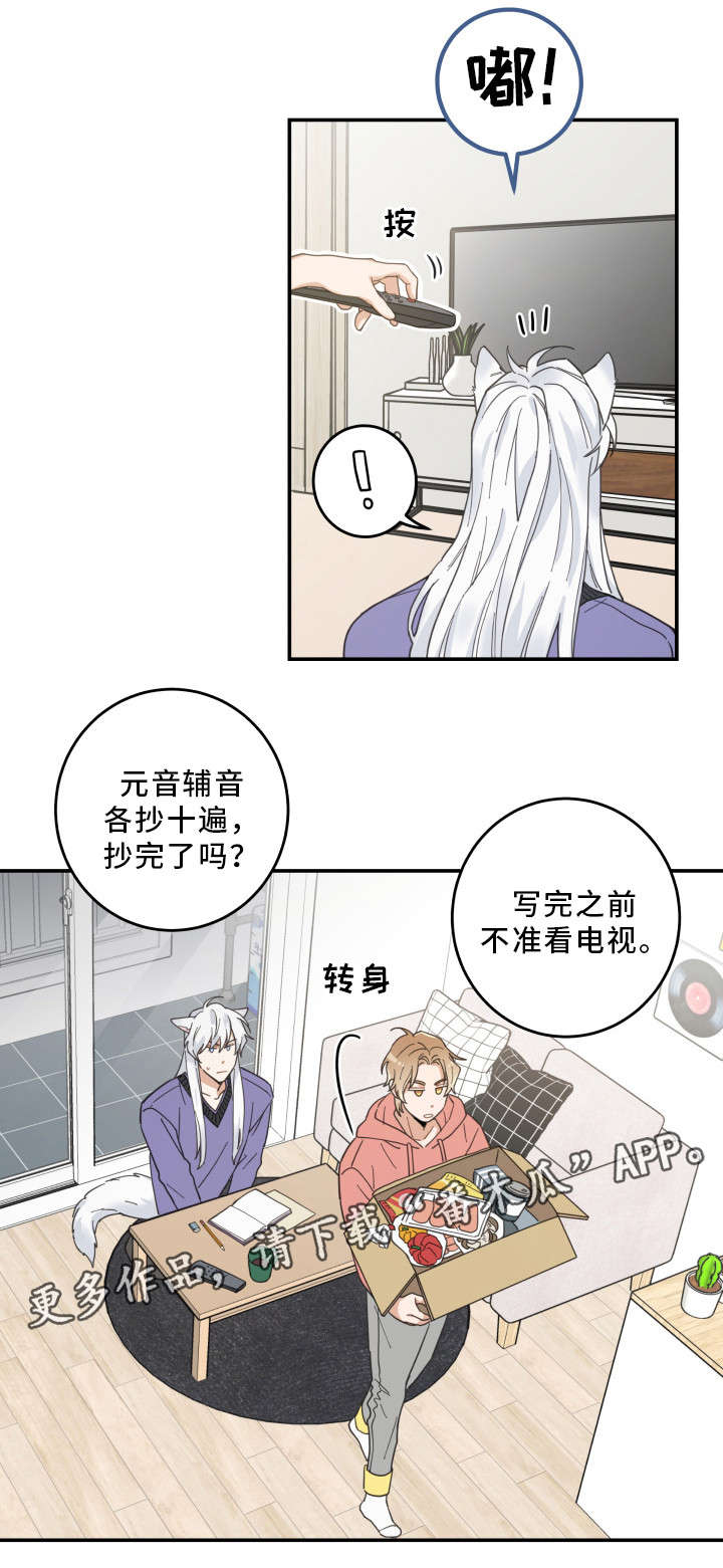 第11章：钻箱子4