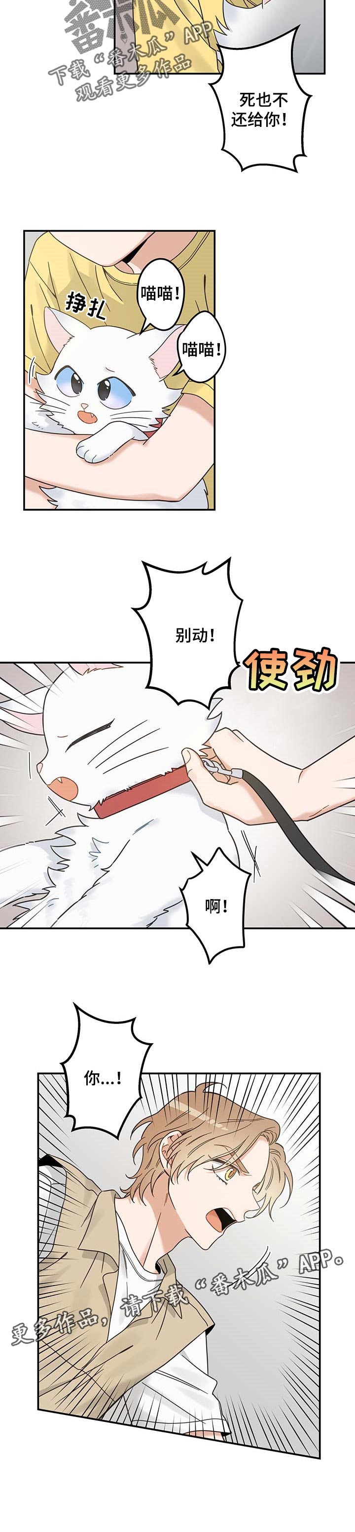 第110章：找到了9