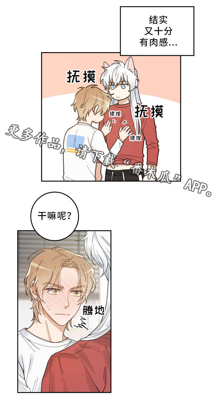 第7章：衣服11