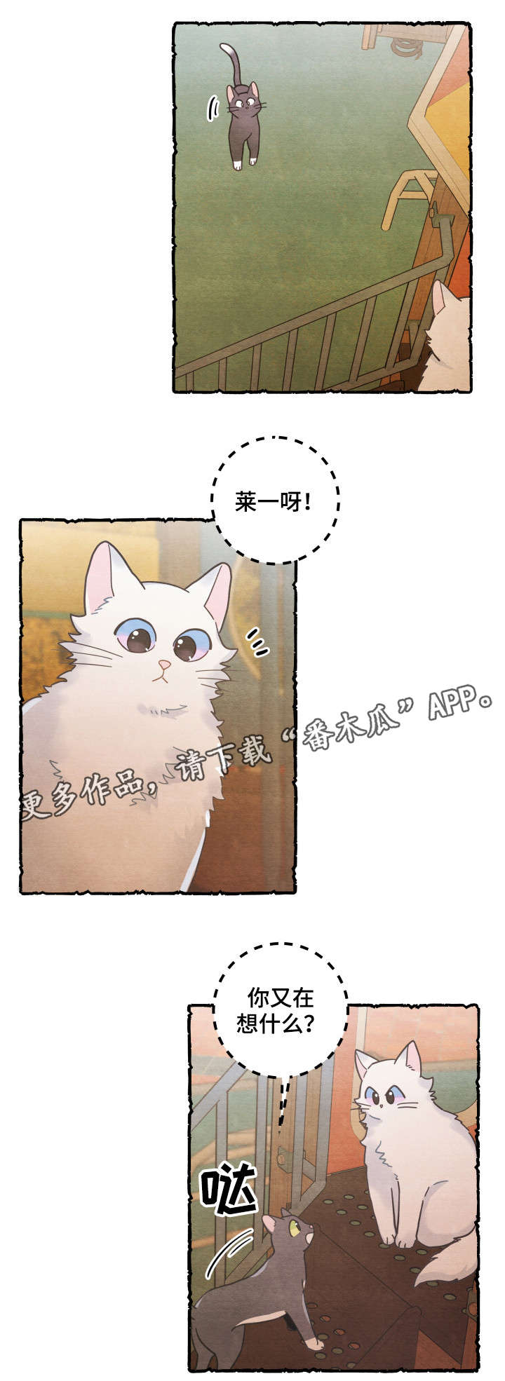 第38章：打扰11