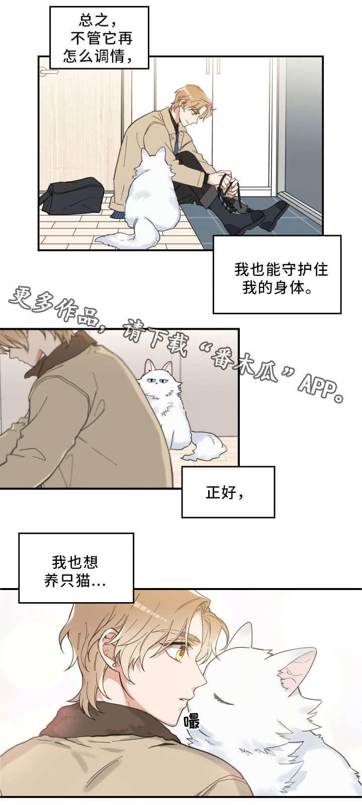 第10章：负责到底8
