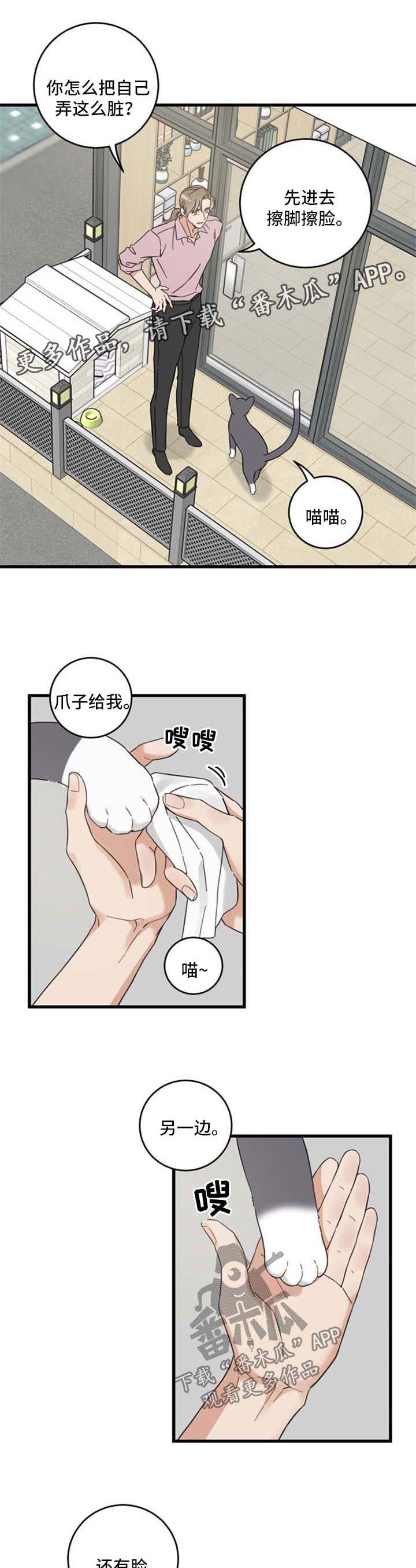 第95章：不行0