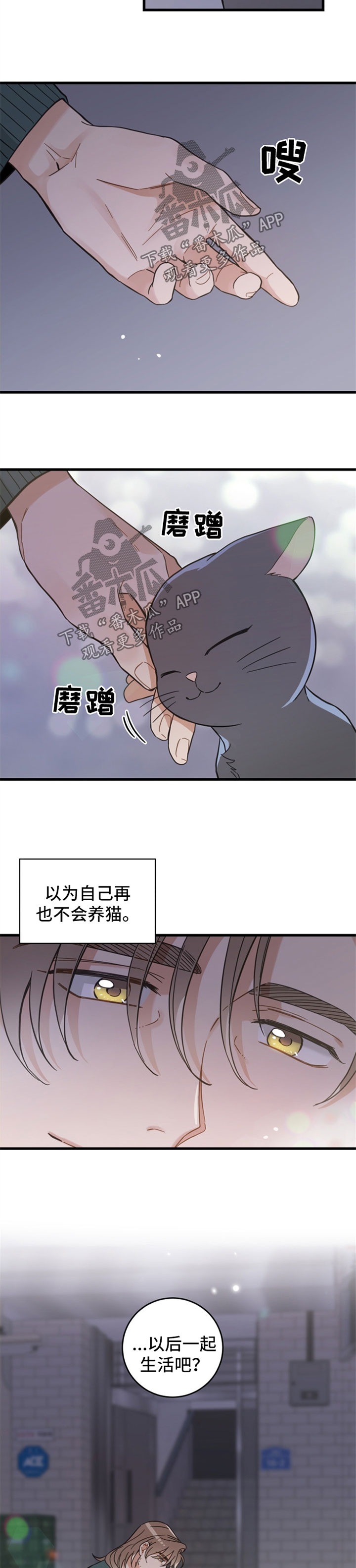 第83章：星星5