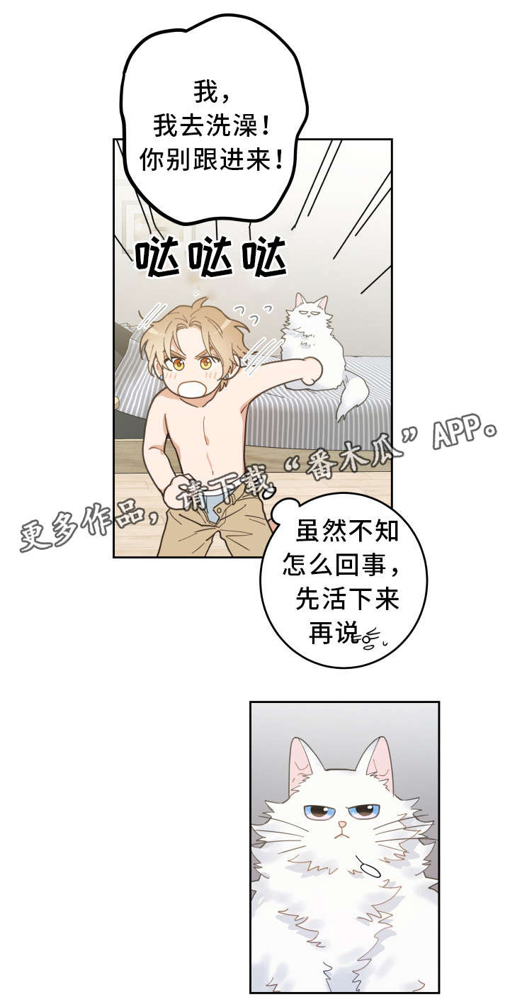 第8章：又变回去了13