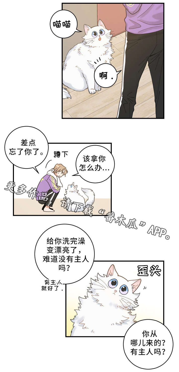 第4章：我要呆在这6