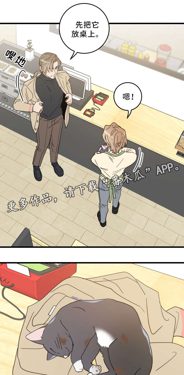第32章：晕倒15