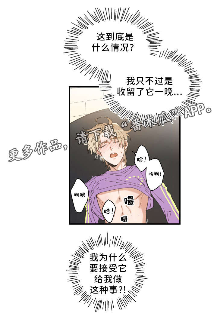 第6章：猫呢5
