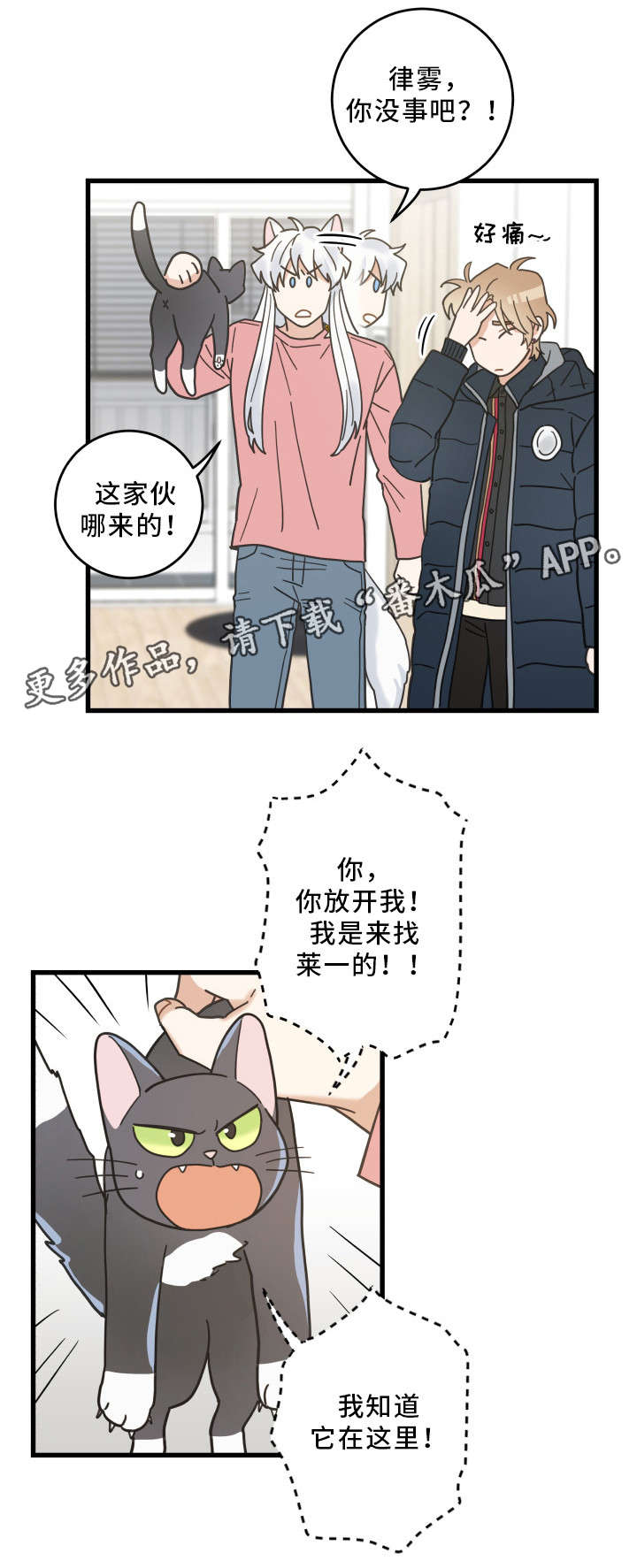 第36章：跟踪11