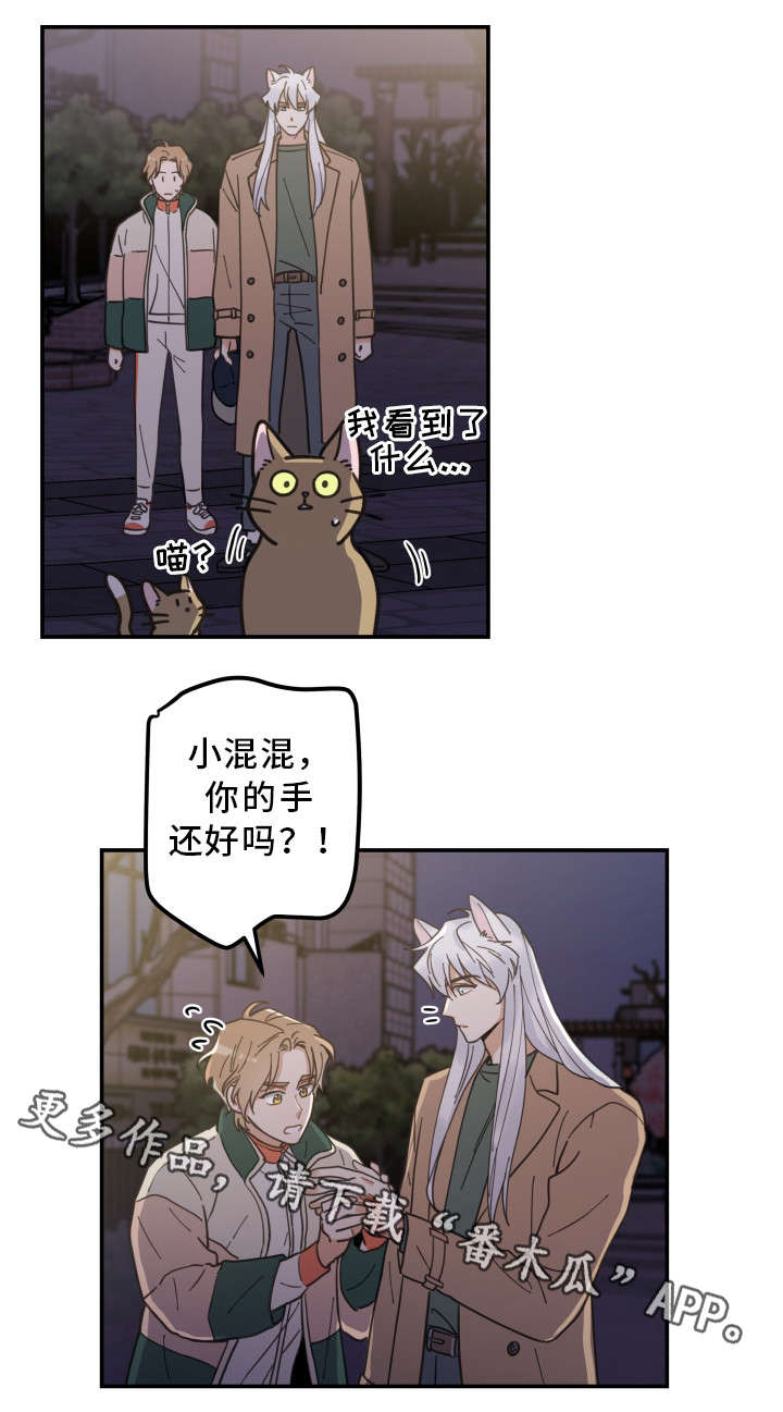 第15章：抓伤10