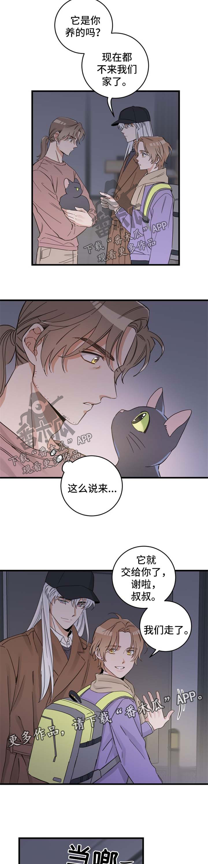 第80章：宠物心得5