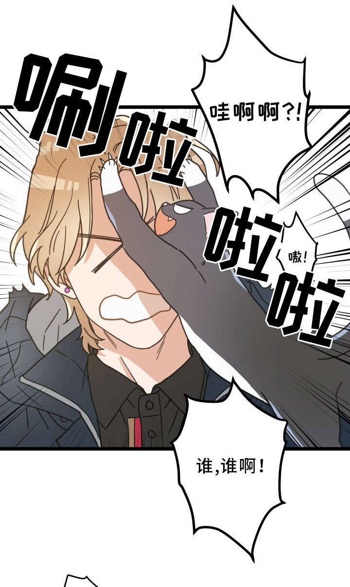 第36章：跟踪9
