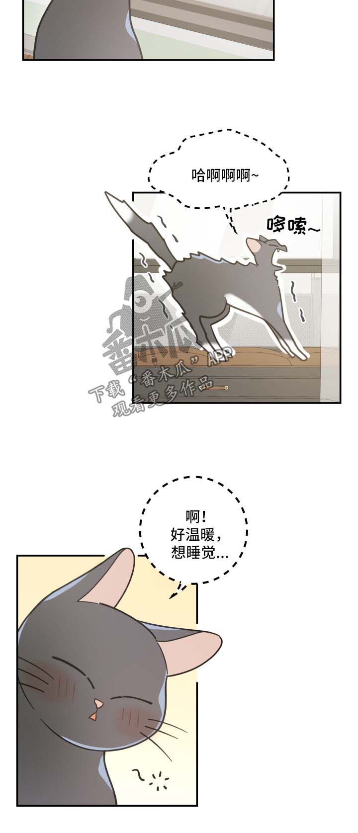 第44章：快乐生活5