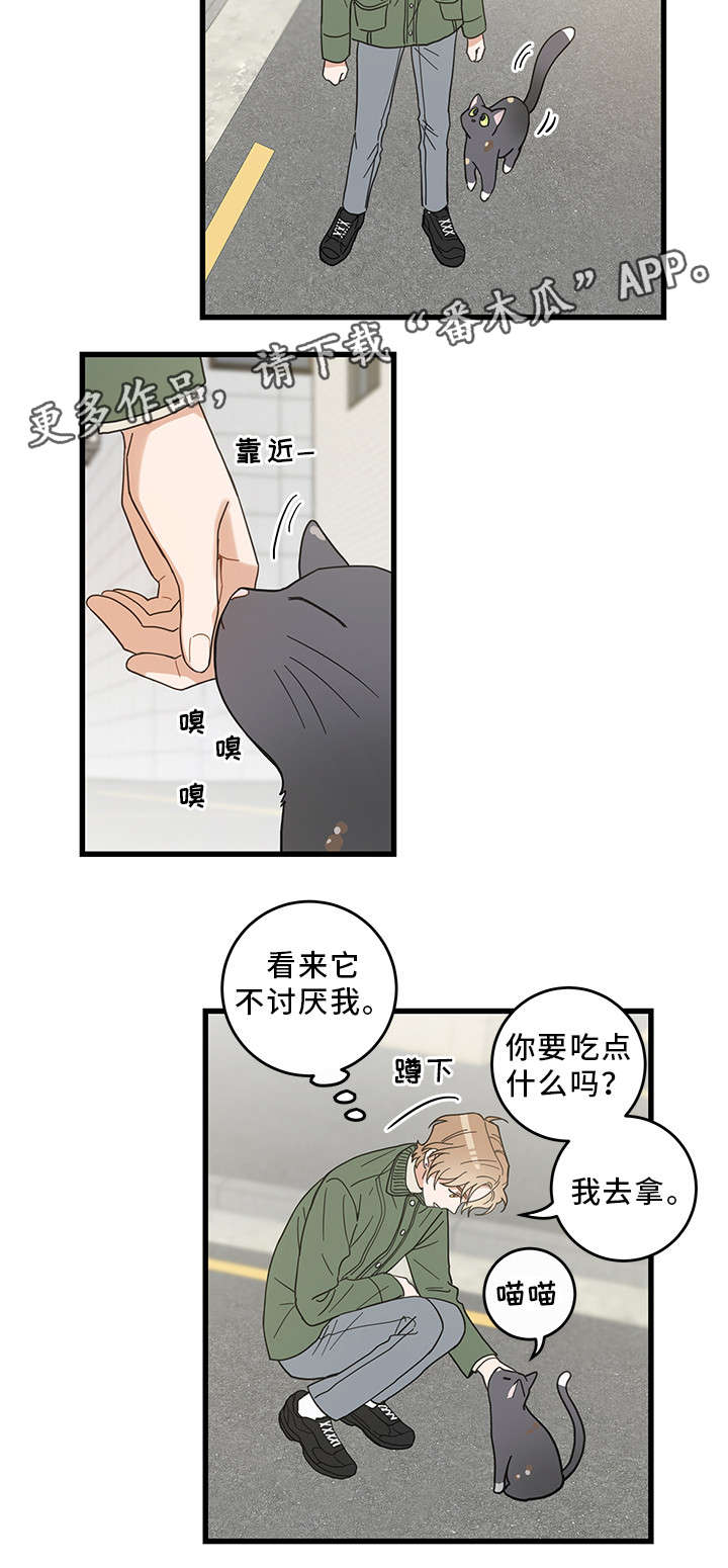 第31章：黑猫10