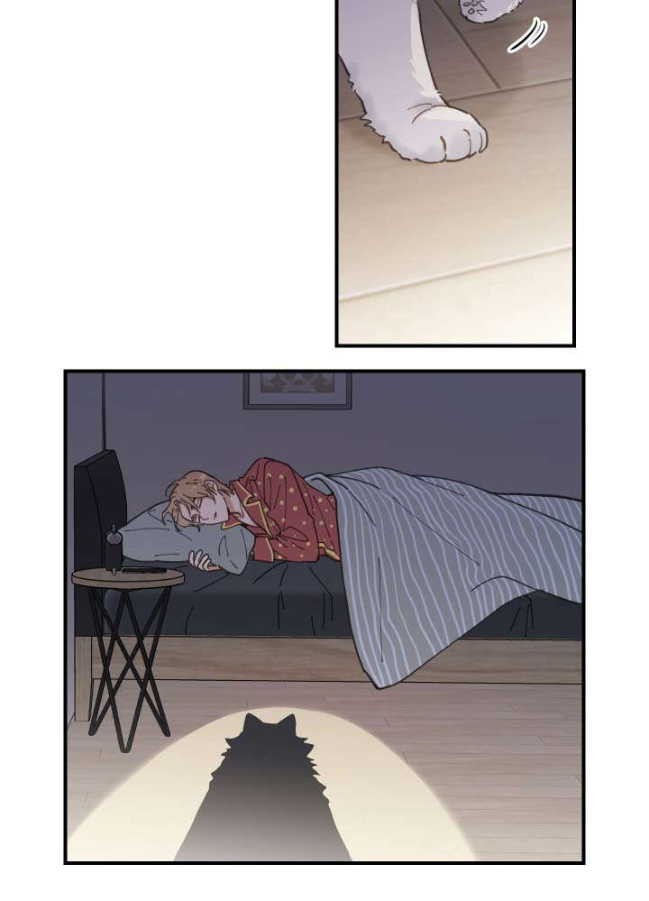 第2章：白猫15