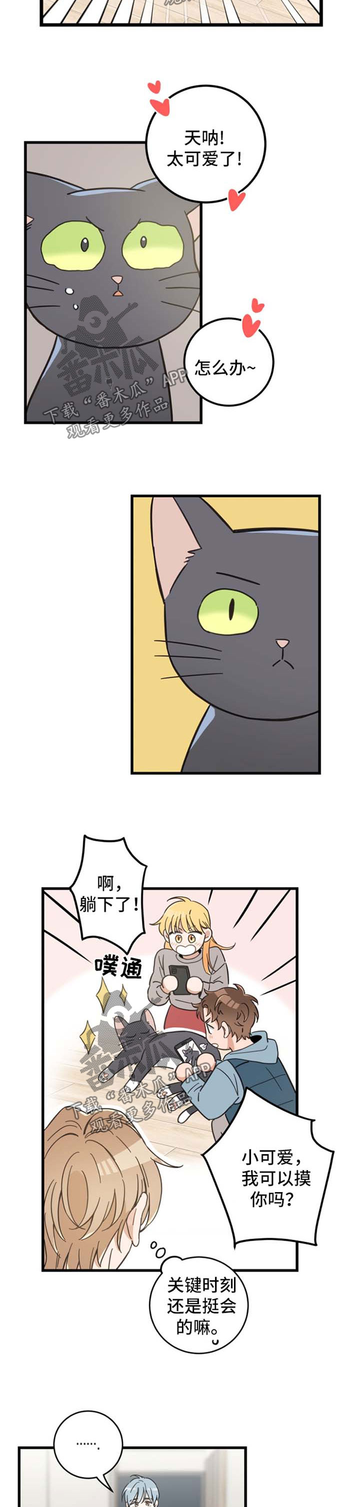 第81章：做客5
