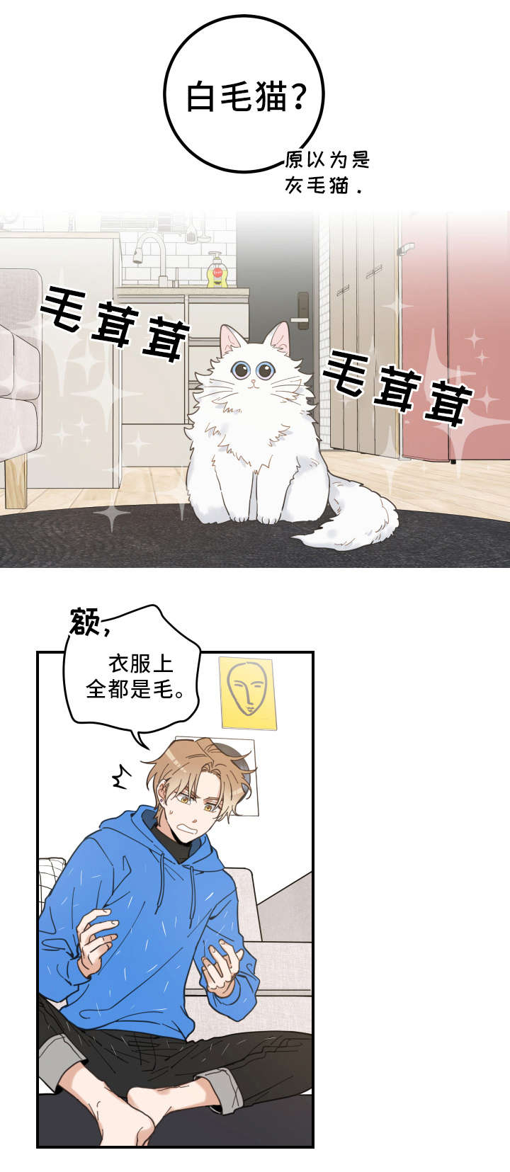 第2章：白猫6