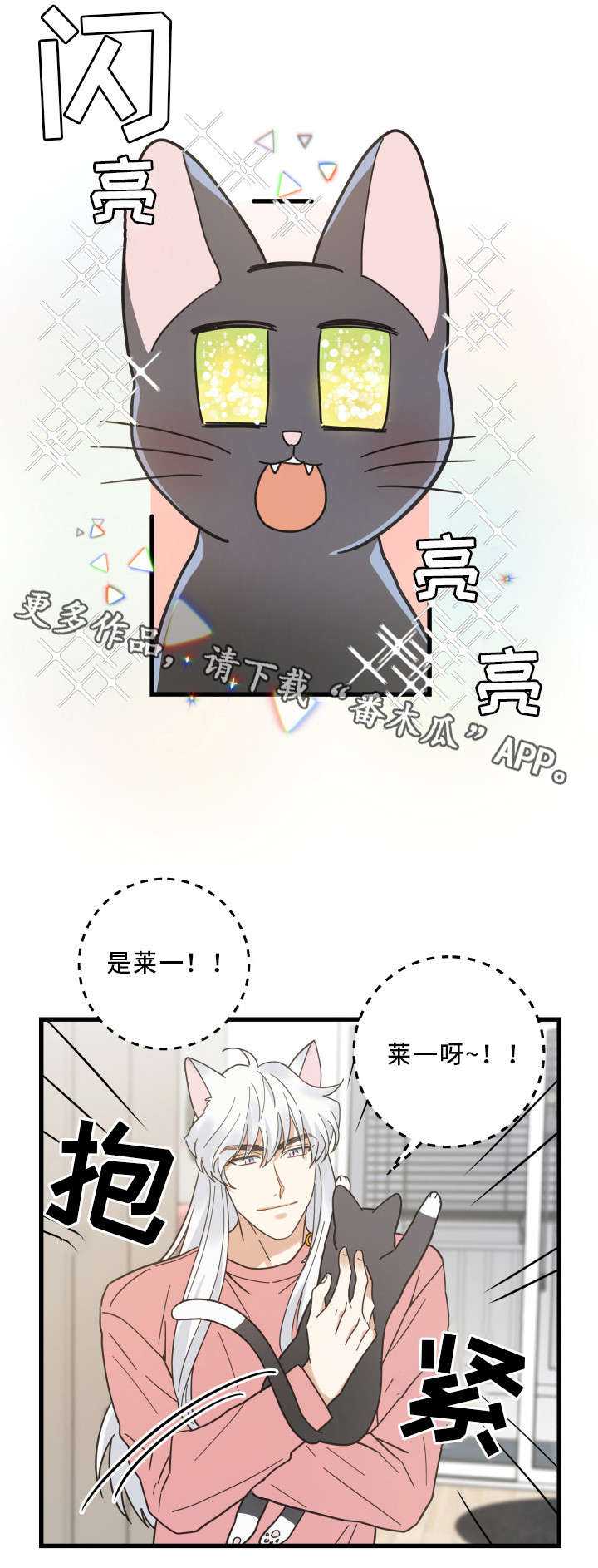 第36章：跟踪16